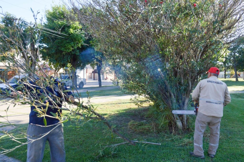 El Municipio acondiciona plazas y avanza con poda en altura