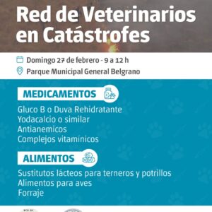 Colecta solidaria de veterinarios por animales afectados en Corrientes