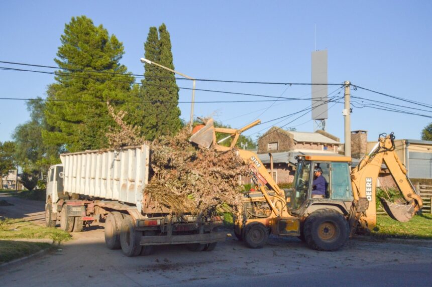 Recolección de restos verdes y de obra- Domingo 20 de marzo