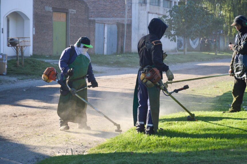 Crece la poda y el desmalezado en la ciudad