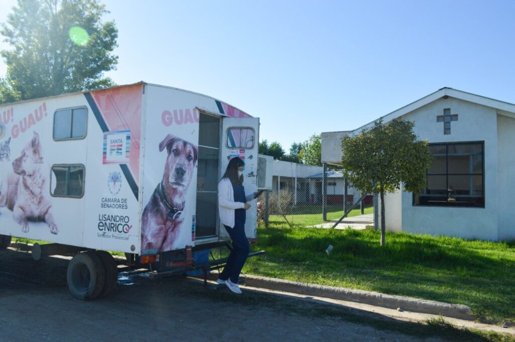 El Gobierno Municipal realizó 106 castraciones en el móvil quirúrgico del senador Enrico