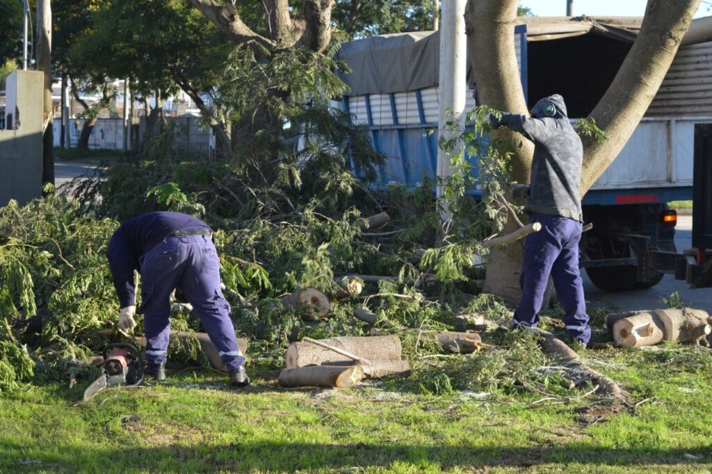 Aumentan las tareas de desmalezado y poda de las cuadrillas municipales