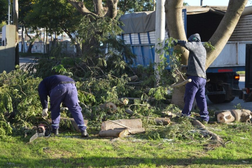 Aumentan las tareas de desmalezado y poda de las cuadrillas municipales