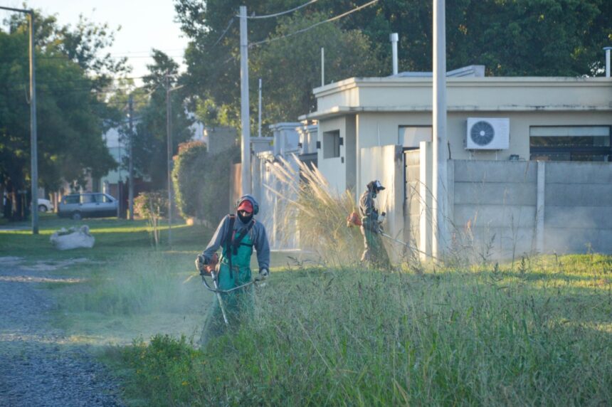Rotación permanente: ¿Por dónde operan las cuadrillas municipales de desmalezado y limpieza esta semana?