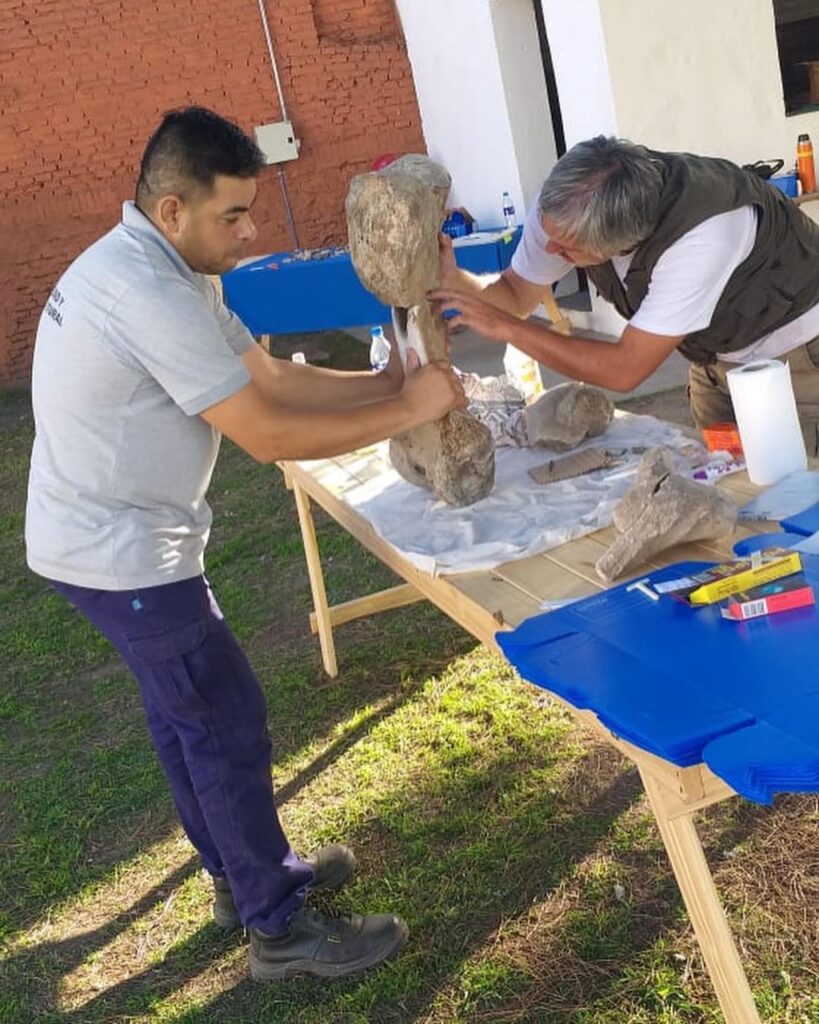 La Red Patrimonio en construcción inició un registro paleontológico en la Casa Museo