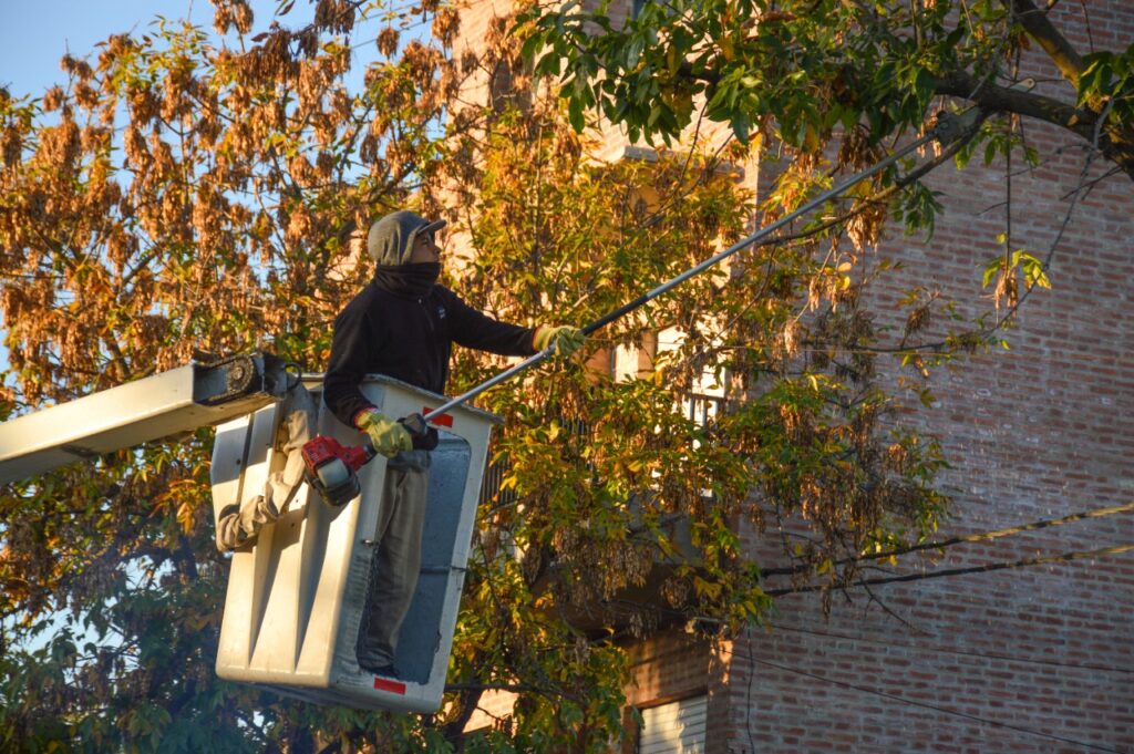 El desafío de mejoras constantes: aumentan los trabajos municipales en los espacios públicos