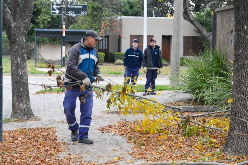 El Municipio refuerza su plan de trabajo en los espacios públicos