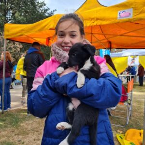 Amor perruno: once cachorros ya tienen hogar gracias a la campaña de adopción en el “Venite al Parque”