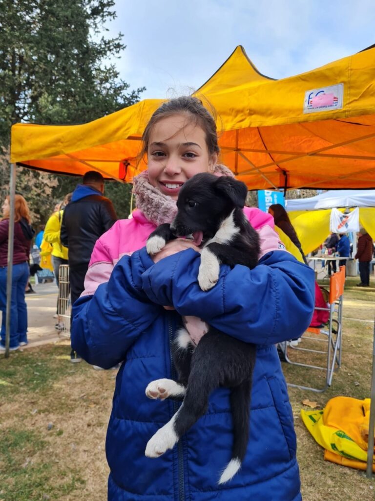 Amor perruno: once cachorros ya tienen hogar gracias a la campaña de adopción en el “Venite al Parque”