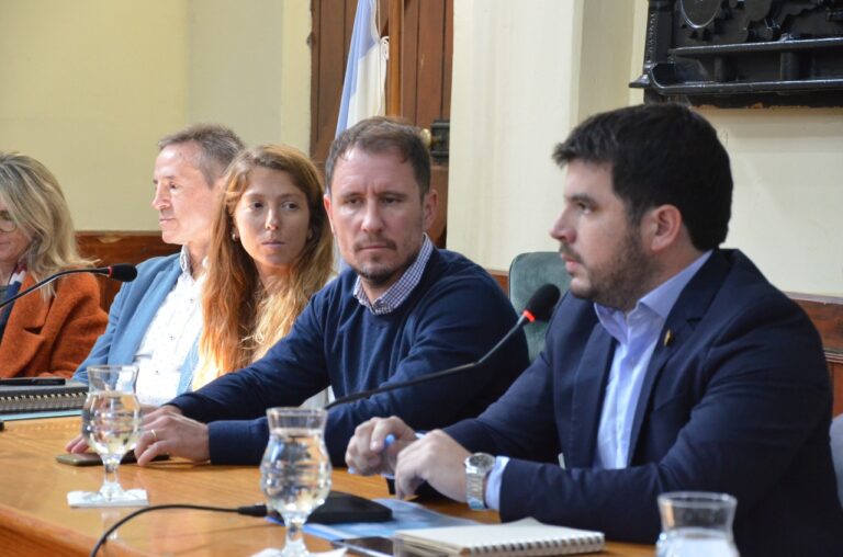 Se presentó en el Concejo un adelanto del Plan Estratégico Participativo (PEP)