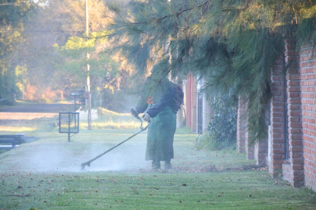 Sostenido trabajo del Gobierno municipal en los espacios públicos y barrios de la ciudad