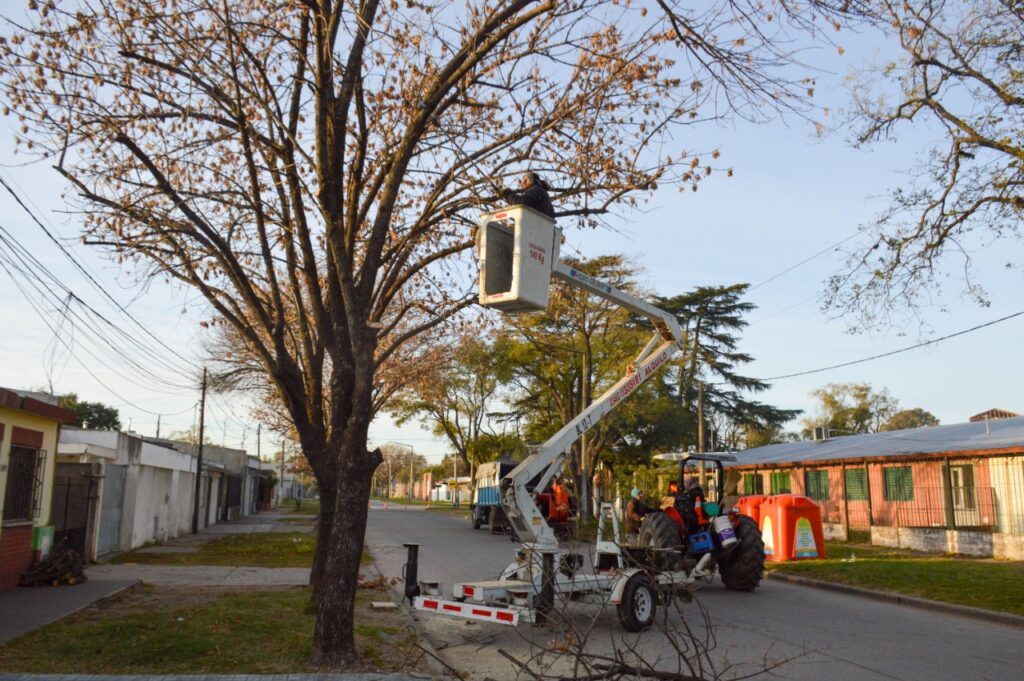El Gobierno municipal retoma a pleno las tareas de limpieza, desmalezado y poda en los barrios