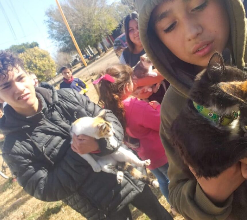 Salud Animal: el Gobierno Municipal vacunó mascotas gratuitamente en los barrios Tiro Federal y Victoria
