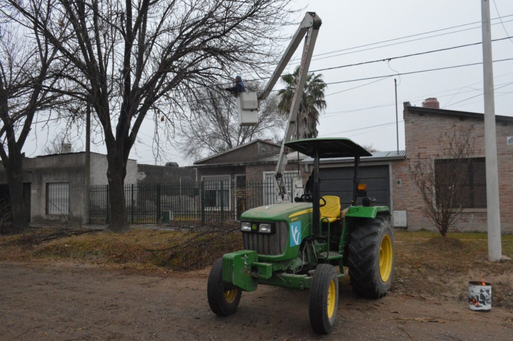 Los equipos municipales avanzan con tareas de poda, extracción de árboles y limpieza