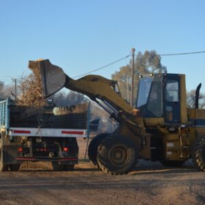 Poda, desmalezado y limpieza de los espacios públicos en la agenda de las cuadrillas municipales Poda, desmalezado y limpieza de los espacios públicos en la agenda de las cuadrillas municipales