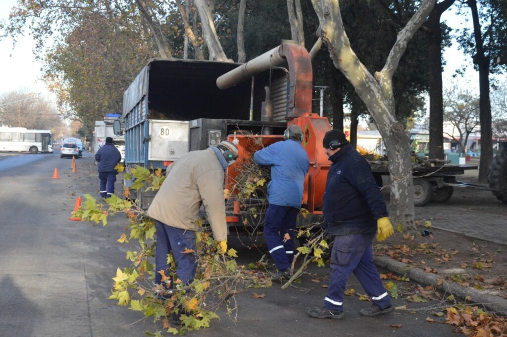 El Municipio refuerza los trabajos de limpieza y mantenimiento en distintos puntos de la ciudad