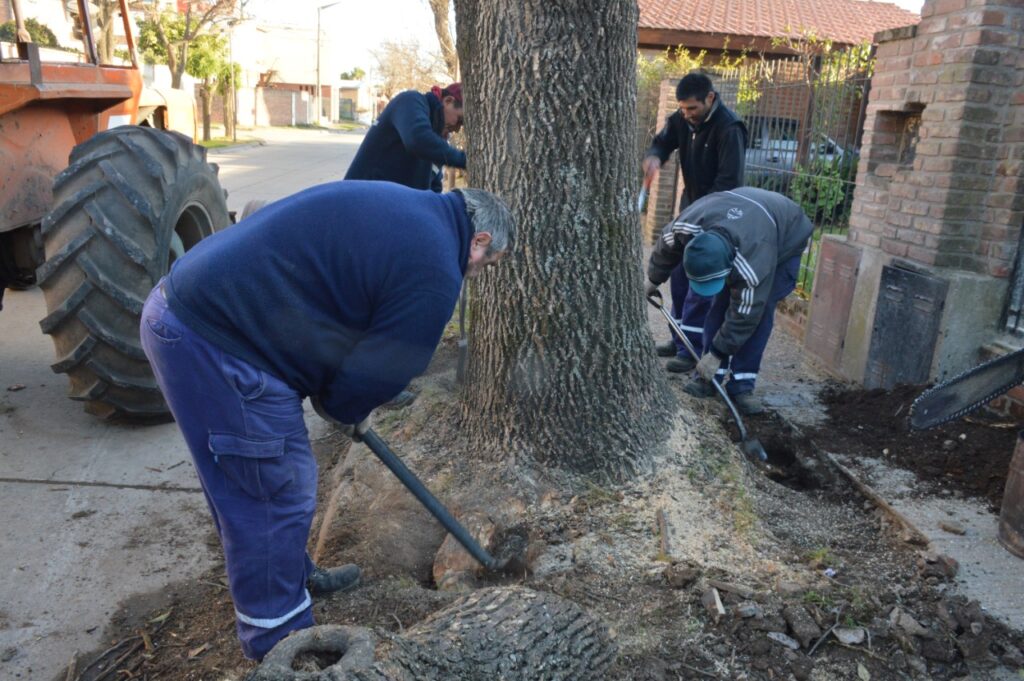 El Municipio avanza con distintas tareas en los espacios públicos de la ciudad