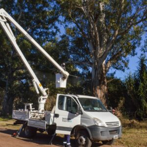 El Municipio avanza con su plan de poda, desmalezado y limpieza en espacios públicos y barrios