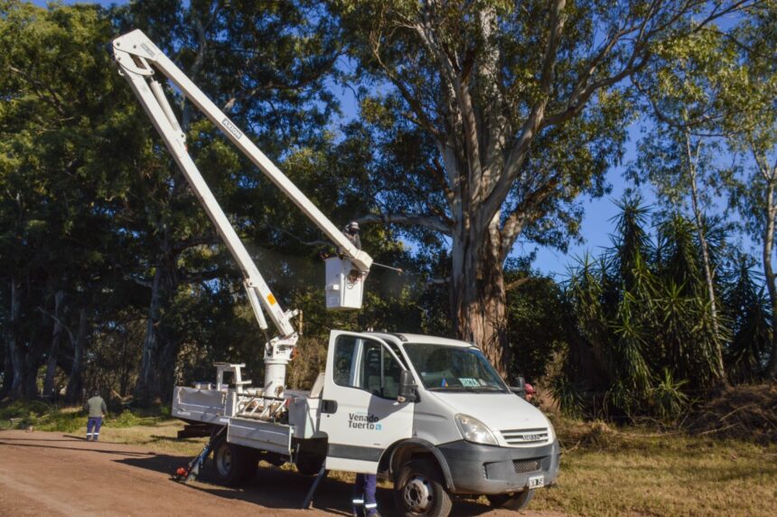 El Municipio avanza con su plan de poda, desmalezado y limpieza en espacios públicos y barrios