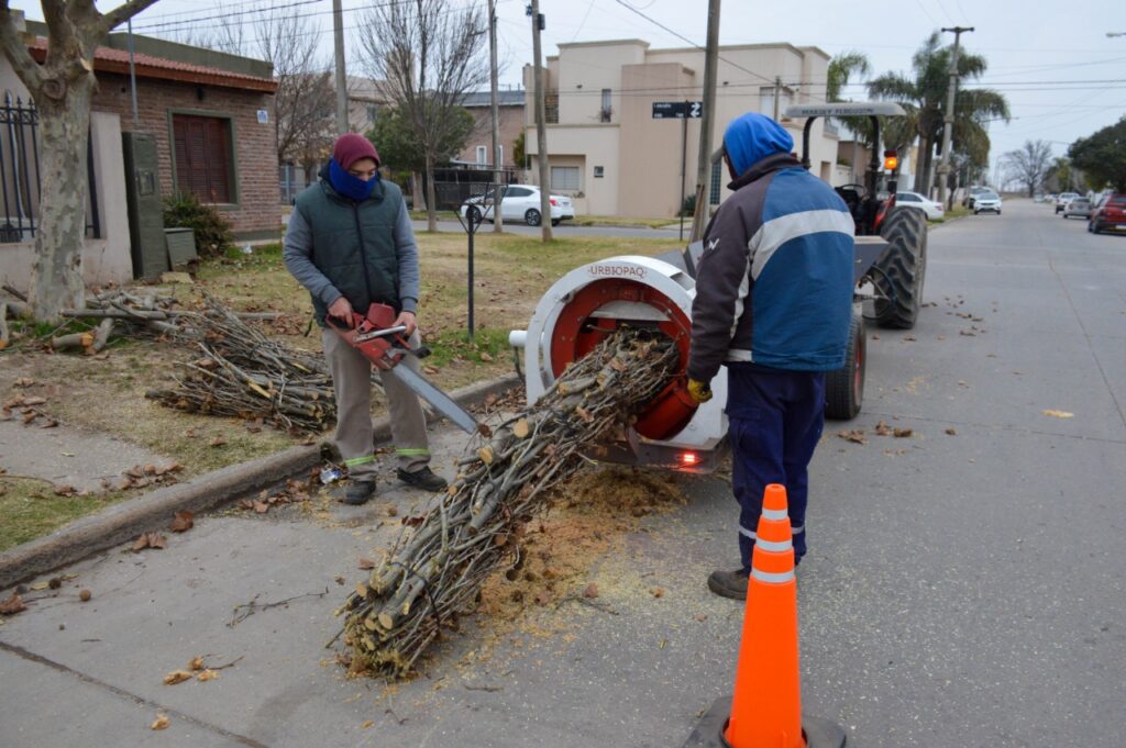 Intenso trabajo de poda, desmalezado y limpieza en varios puntos de la ciudad