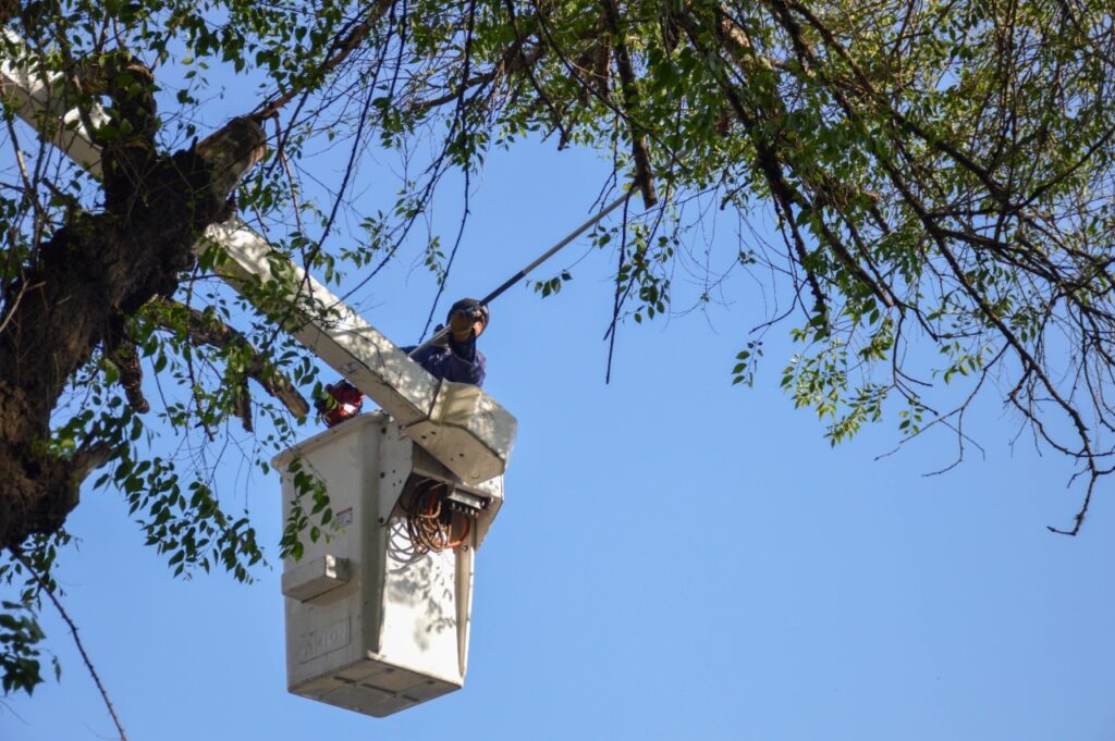 El Gobierno municipal avanza con distintas tareas en los espacios públicos