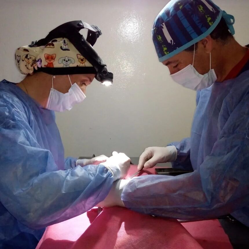 El programa “Orejas Verdes” vuelve con salud animal a los barrios