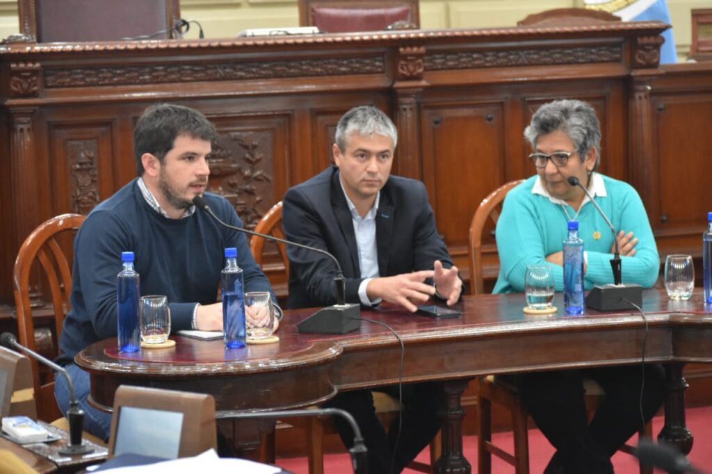Legislatura Provincial: autoridades del Gobierno de Venado Tuerto expusieron en audiencia pública el trabajo municipal sobre Abordaje y Prevención en Salud Mental