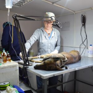 El programa “Orejas Verdes” tuvo gran concurrencia de vecinos en el Malvinas Argentinas El programa “Orejas Verdes” tuvo gran concurrencia de vecinos en el Malvinas Argentinas