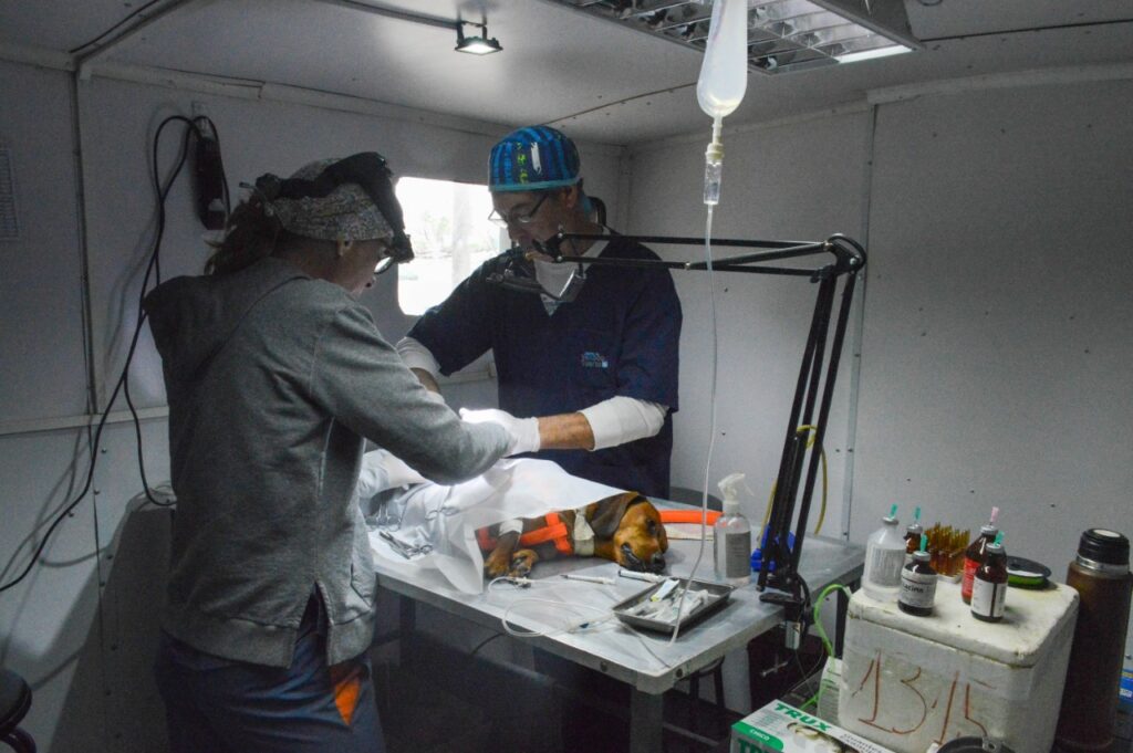 El “Orejas Verdes” pasó por los barrios Iturbide y Juan XXIII con vacunación y castraciones