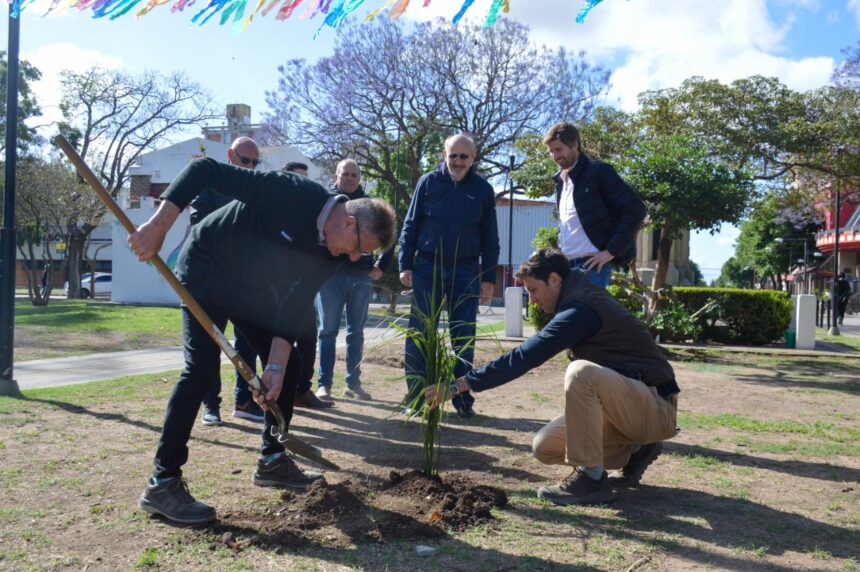 Trabajo conjunto del Gobierno Municipal y Toyota Méndez: importante donación de palmeras para la plaza San Martín