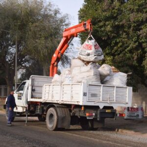 Recolección de Restos Verdes y de Obra- Domingo 6 de noviembre