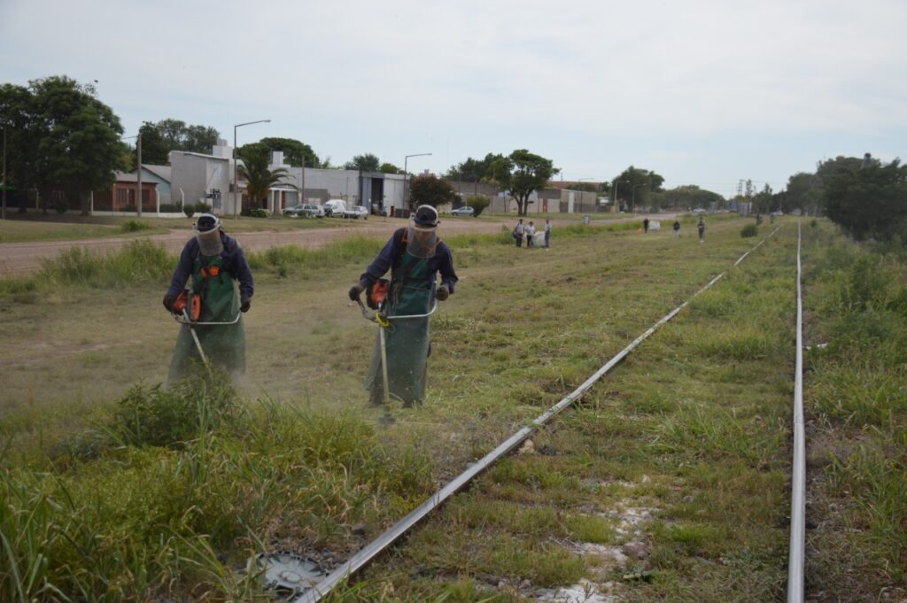Las cuadrillas municipales recorren la ciudad con trabajos de limpieza, desmalezado y recolección