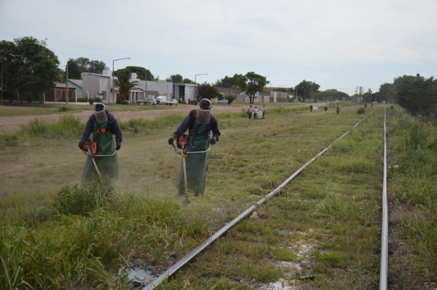 Las cuadrillas municipales recorren la ciudad con trabajos de limpieza, desmalezado y recolección