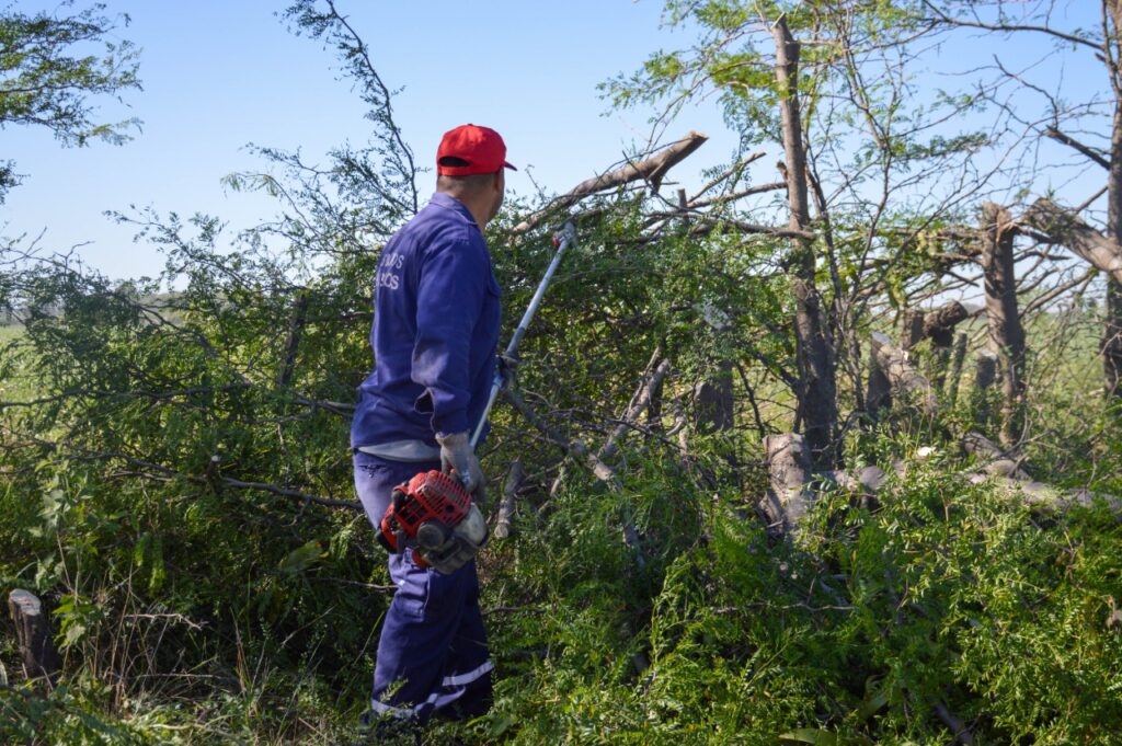 Desmalezado, poda y limpieza en espacios públicos y barrios