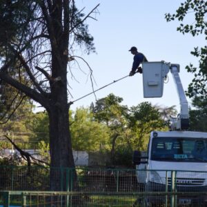 Sostenido trabajo municipal en el mantenimiento de los espacios públicos