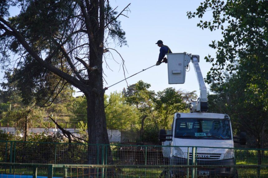 Sostenido trabajo municipal en el mantenimiento de los espacios públicos Sostenido trabajo municipal en el mantenimiento de los espacios públicos