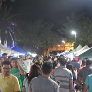 Más de 170 emprendendores en la exitosa segunda edición del “Paseo de la Ciudad” en plaza San Martín