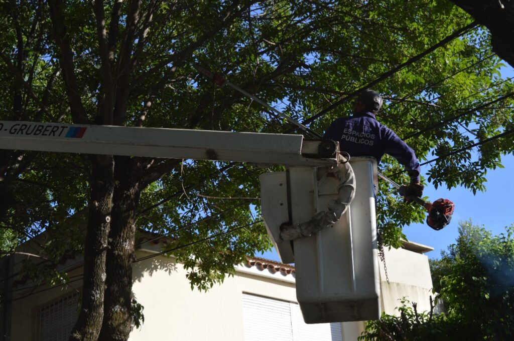 El Gobierno Municipal refuerza las tareas de mantenimiento de los espacios públicos