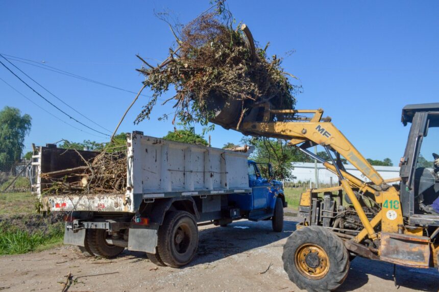 Recolección de Restos Verdes y de Obra- Domingo 22 de enero