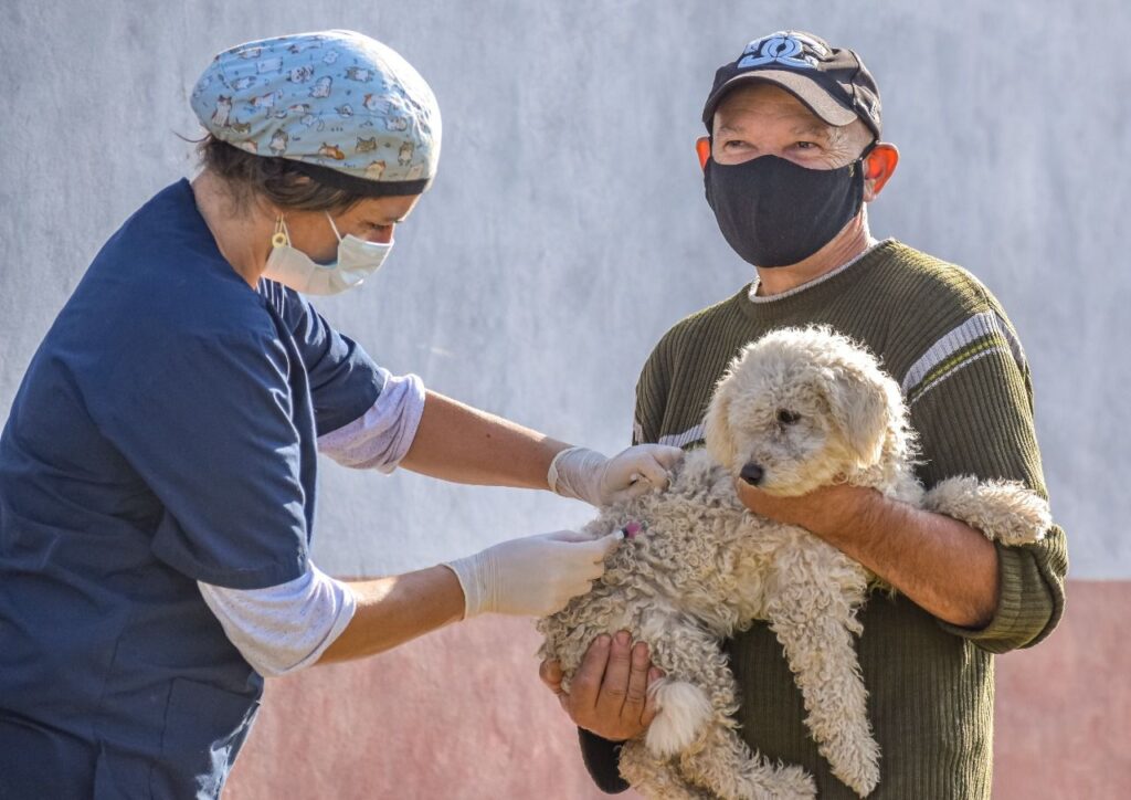 El Gobierno Municipal aumenta sus acciones para fortalecer la salud animal en los barrios de la ciudad