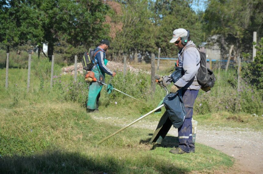 Las cuadrillas municipales intervienen en plazas, paseos y barrios