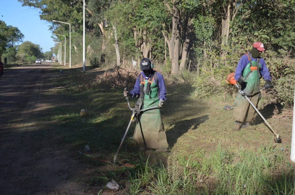 El Gobierno Municipal refuerza la atención de los espacios públicos