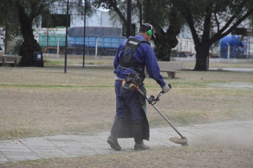 Trabajos de mantenimiento en tres plazas de la ciudad Trabajos de mantenimiento en tres plazas de la ciudad