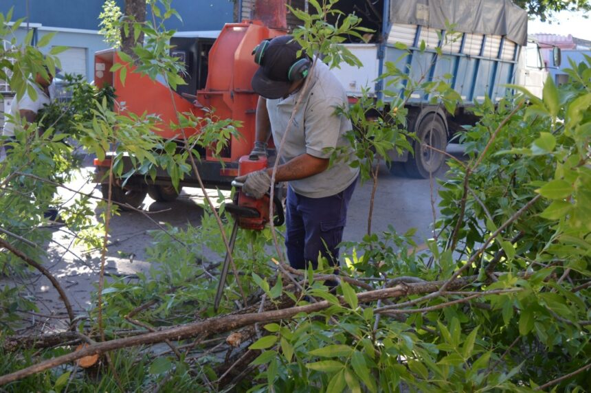 Las cuadrillas municipales intensifican las tareas de poda y corte de pasto en los barrios
