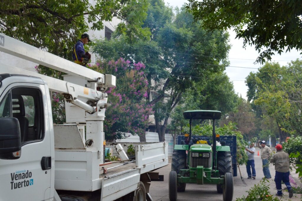 Las cuadrillas municipales avanzan con tareas de desmalezado y poda en distintos barrios