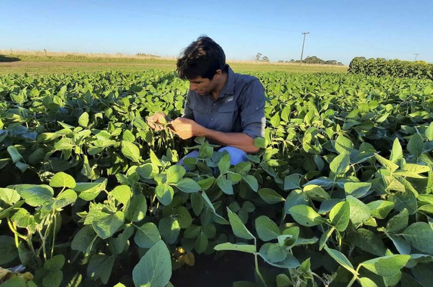 El Gobierno Municipal invita al II Encuentro Nacional sobre producción con biológicos