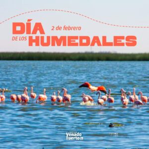 En el Día de los Humedales el Gobierno Municipal prepara un avistaje de aves en La Laguna el Hinojo
