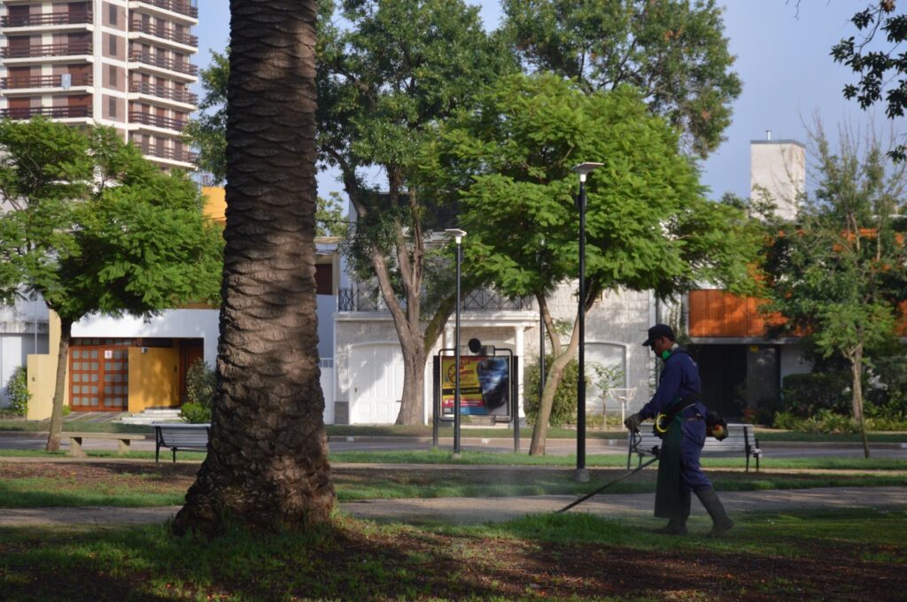 Cuadrillas municipales realizan trabajos de limpieza y desmalezado en plaza San Martín