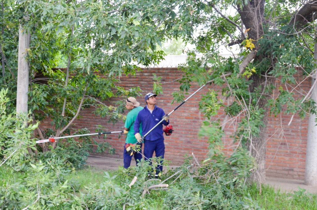 Las cuadrillas municipales avanzan con tareas de mantenimiento y limpieza en toda la ciudad