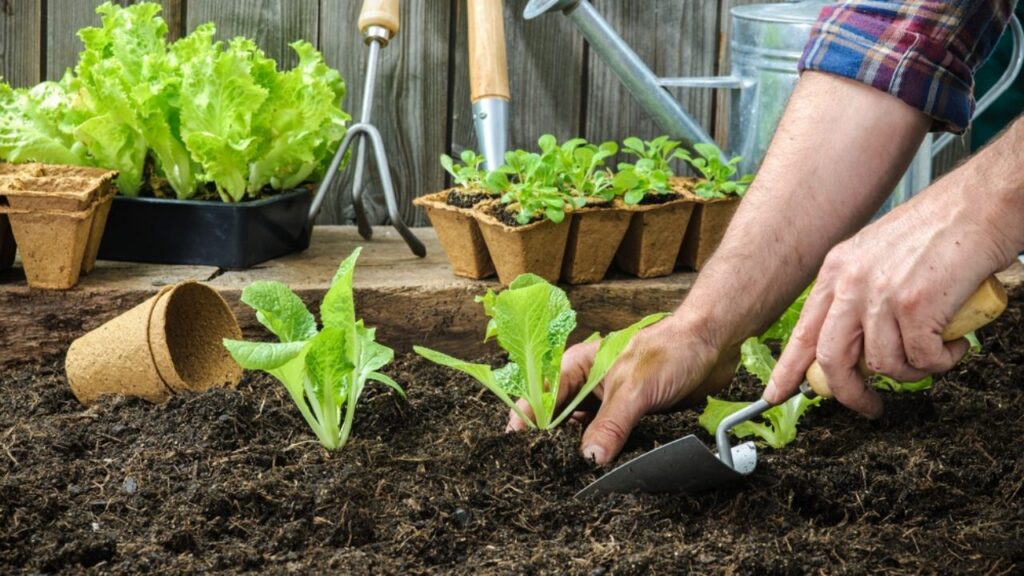 En la vecinal San Vicente comienza el ciclo de capacitaciones “Huerta en Casa”